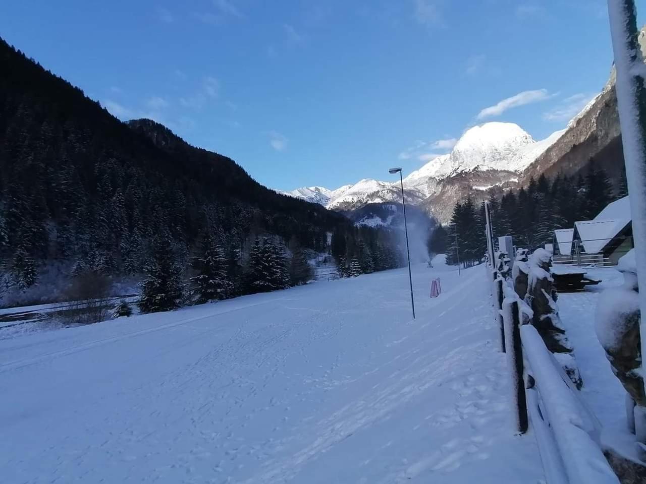 Holiday Guesthouse La Casina Di Butzi Pet Friendly - Terme Di Arta - Zoncolan Arta Terme Exterior foto
